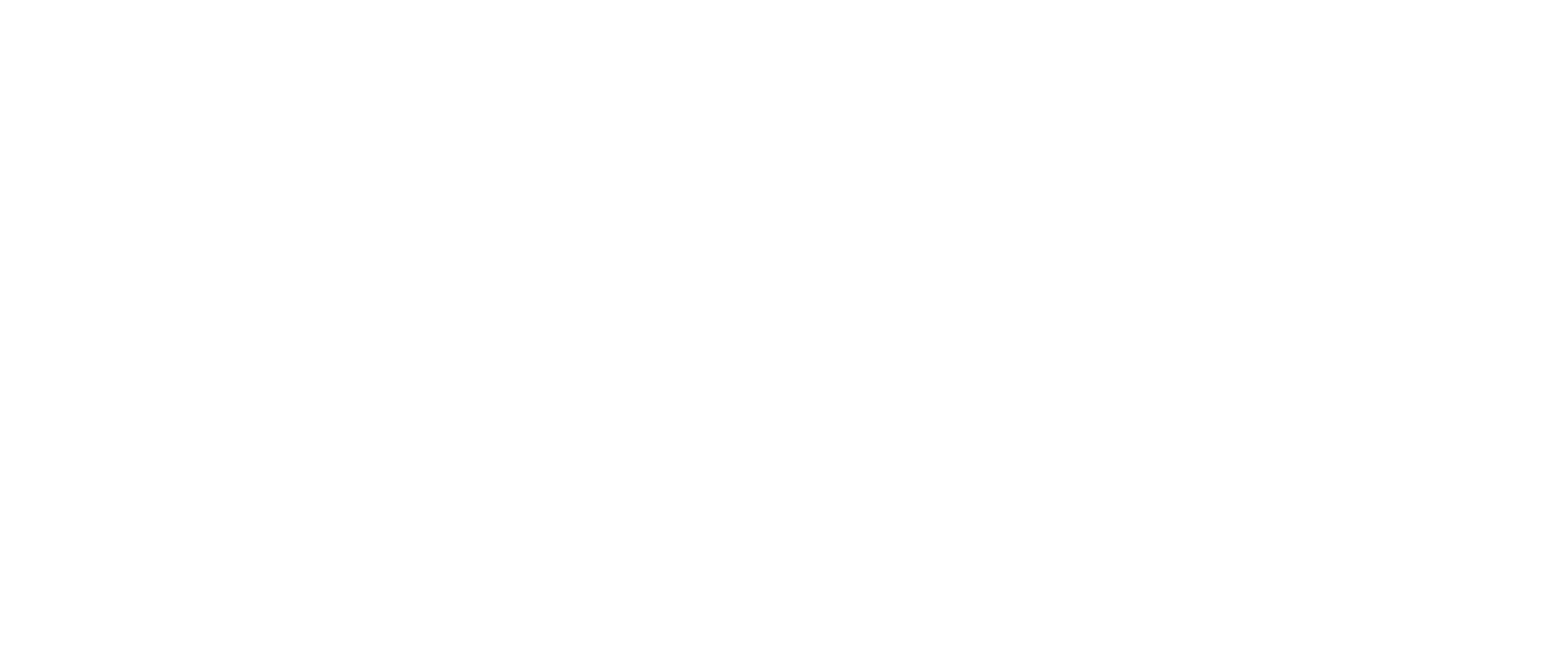 PASSTELL Logo